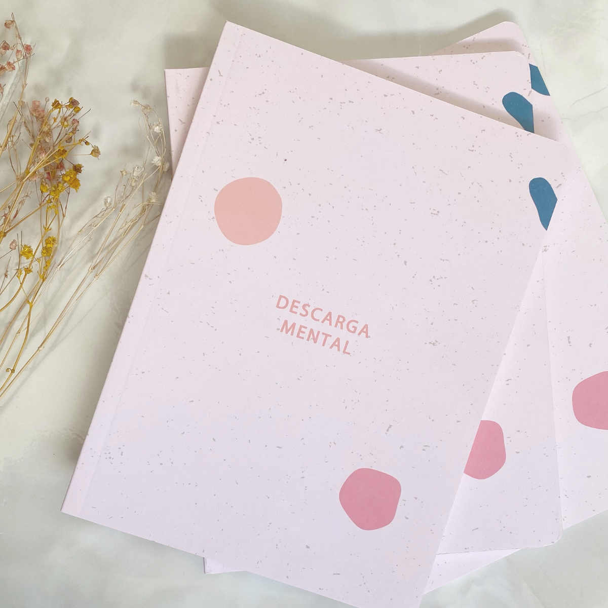 Cuaderno de Descarga Mental